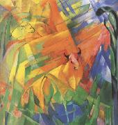 Franz Marc Animals in Landscape (mk34) oil painting reproduction